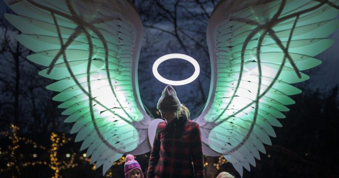 Scaled-down and extended Napa Lighted Art festival on track to open in January | Local News