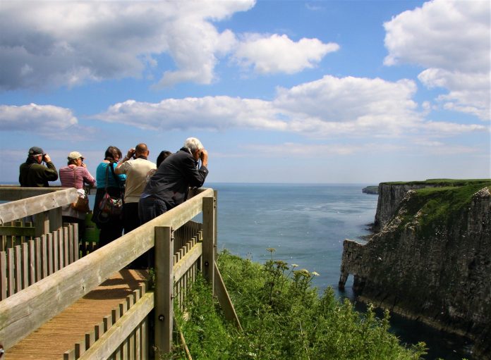 Take a staycation in nature this summer
