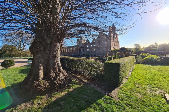 Rufford Abbey Country Park wins award for quality of its food and drink
